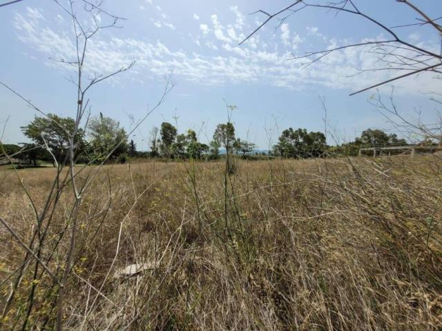 Terreno en venta en Baix Llobregat, Catalunya