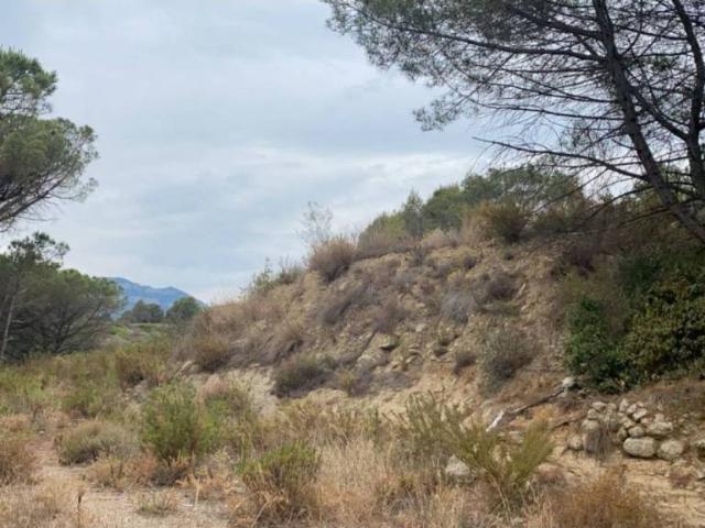 Terreno en venta en Vallès Oriental, Catalunya