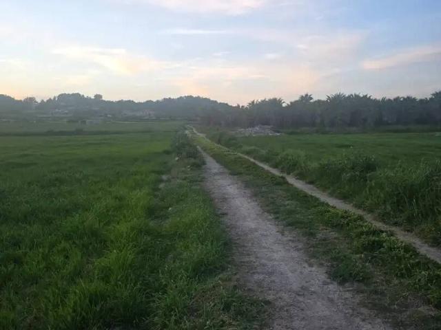Terreno en venta en Pla de Mallorca, Baleares