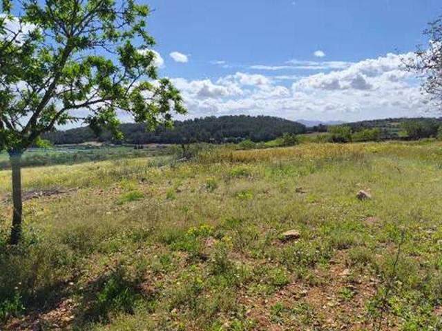 Terreno en venta en Pla de Mallorca, Baleares