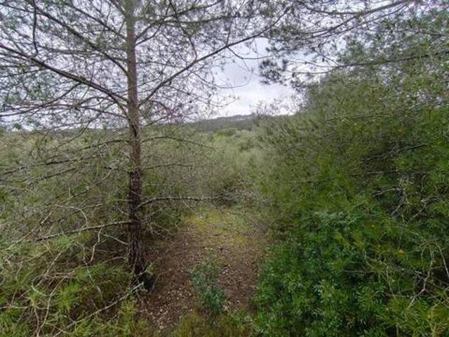 Terreno en venta en Pla de Mallorca, Baleares
