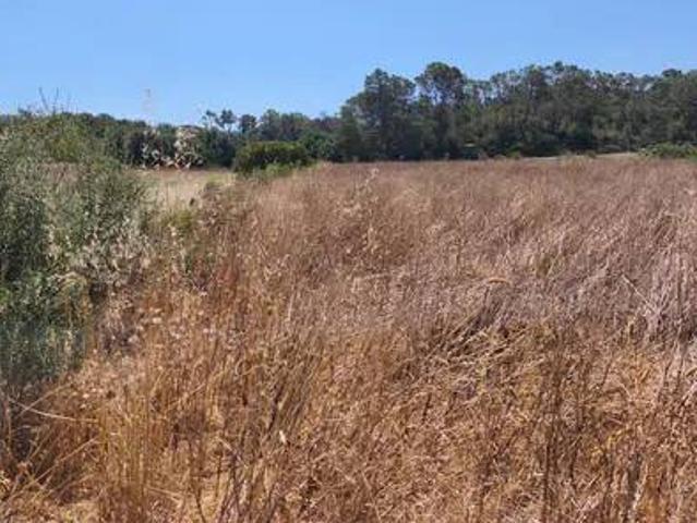 Terreno en venta en Pla de Mallorca, Baleares