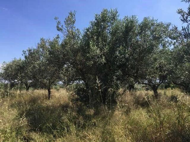 Terreno en venta en Gironès, Catalunya