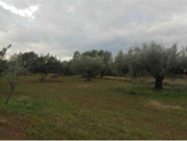 Terreno en venta en Urbanització Font Juncosa, la Plana Alta