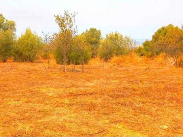 Terreno en venta en la Plana Alta, Valencia