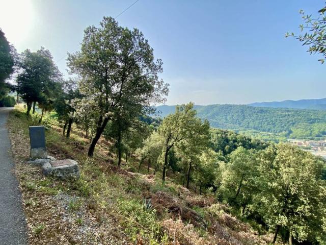 Terreno en venta en Garrotxa, Catalunya