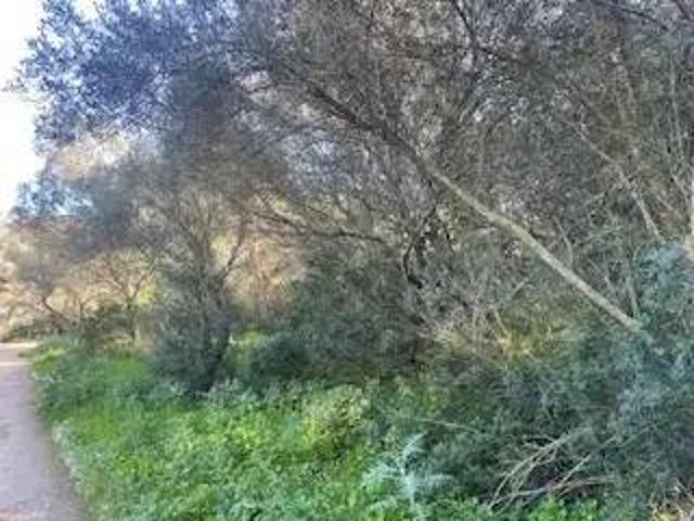 Terreno en venta en Llevant, Baleares