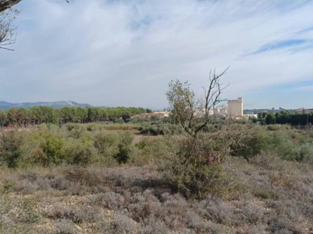 Terreno en venta en el Baix Maestrat, Valencia