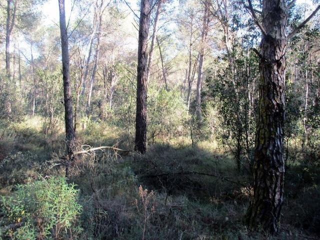 Terreno en venta en Alt Empordà, Catalunya