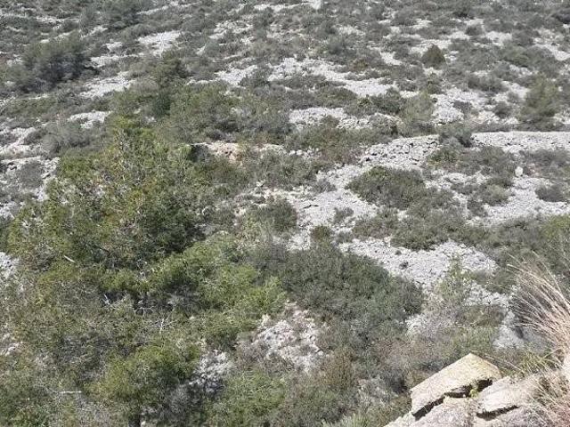 Terreno en venta en Can Lloses - Can Marcer, Sant Pere de Ribes