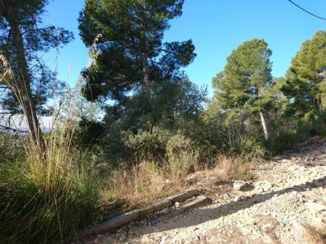 Terreno en venta en Garraf, Catalunya