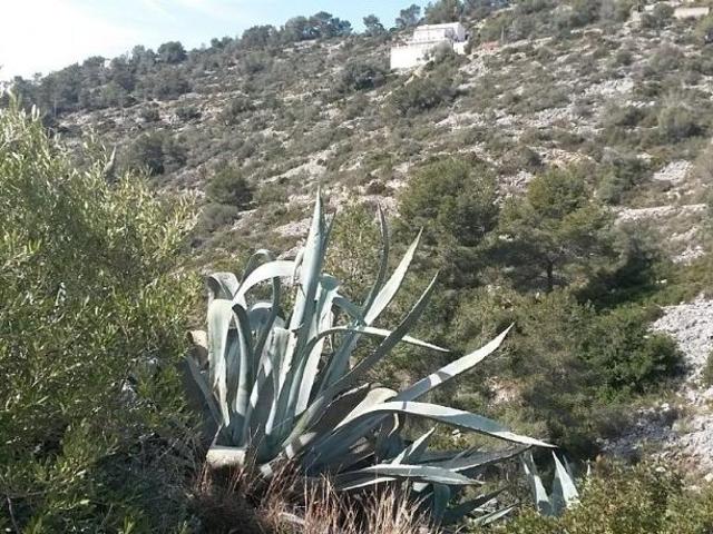 Terreno en venta en Sant Pere De Ribes, Barcelona