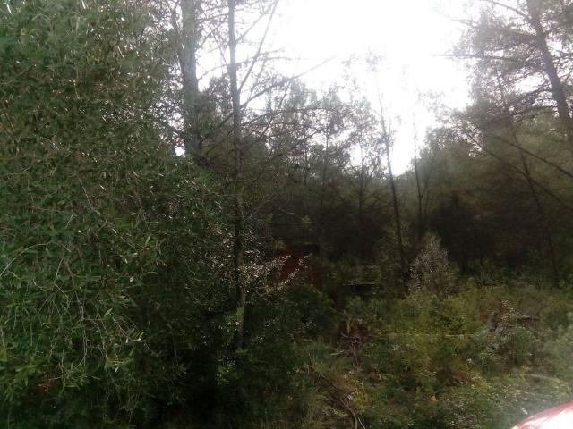 Terreno en venta en Sant Pere de Ribes, Barcelona
