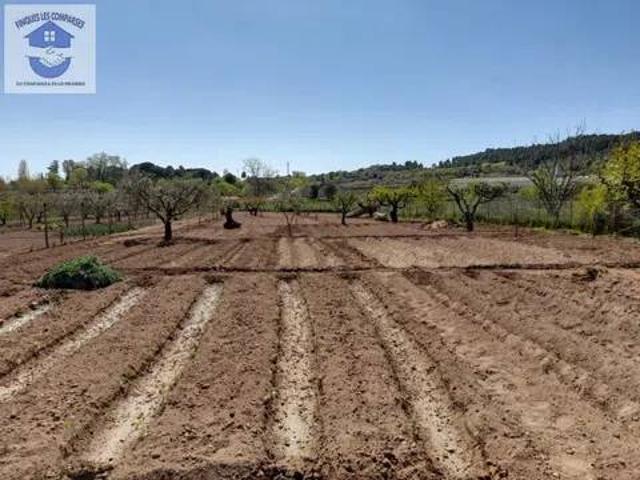 Terreno en venta en Alt Penedès, Catalunya