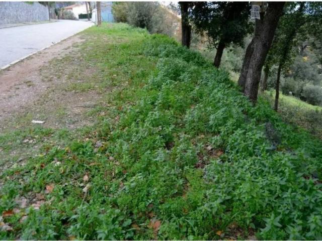 Terreno en venta en Vallès Oriental, Catalunya
