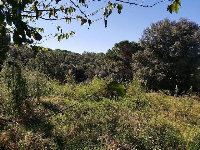 Terreno en venta en Vallès Oriental, Catalunya