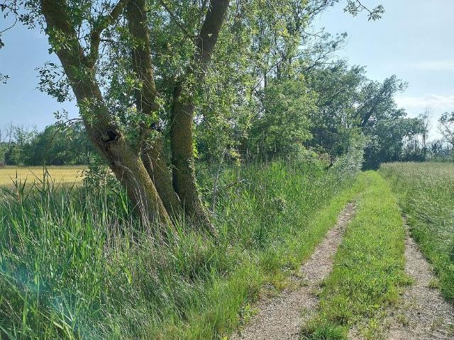 Terreno en venta en Alt Empordà, Catalunya