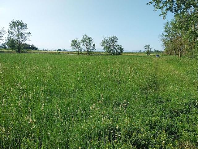 Terreno en venta en Alt Empordà, Catalunya