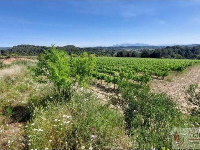 Terreno en venta en Alt Penedès, Catalunya
