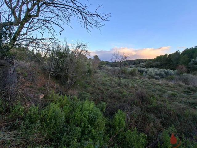 Terreno en venta en Alt Penedès, Catalunya
