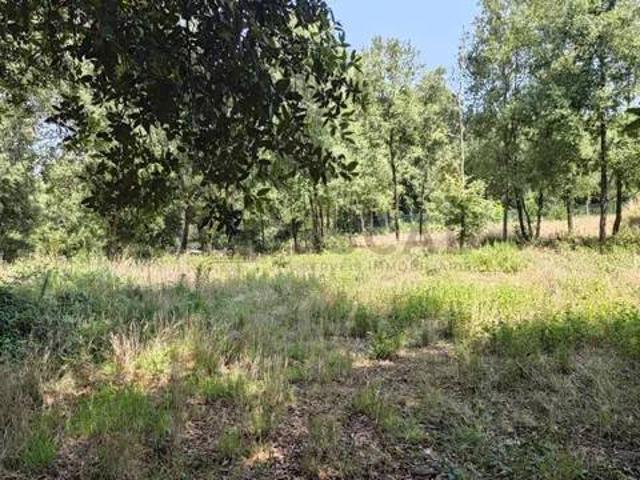 Terreno en venta en Moianès, Catalunya
