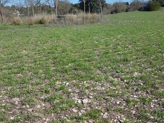 Terreno en venta en Segarra, Catalunya