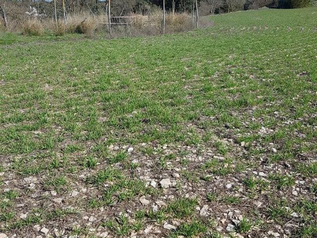 Terreno en venta en Segarra, Catalunya