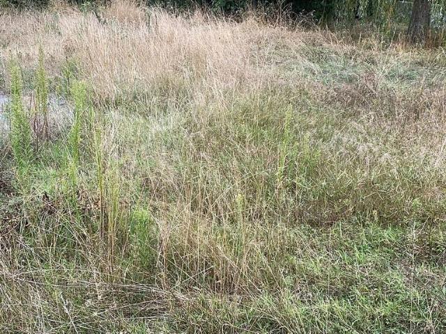 Terreno en venta en Osona, Catalunya