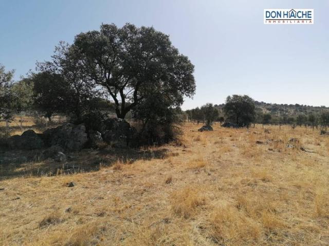 Terreno en venta en Santa Amalia