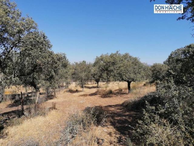 Terreno en venta en Santa Amalia, Extremadura