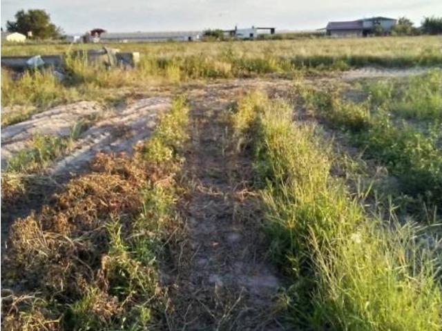 Terreno en venta en Santa Amalia, Extremadura
