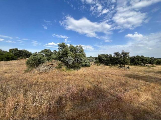 Terreno en venta en Santa Ana De Pusa, Castilla-La Mancha