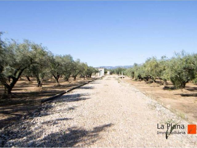 Terreno en venta en Montsià, Catalunya