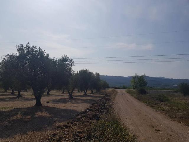 Terreno en venta en Montsià, Catalunya