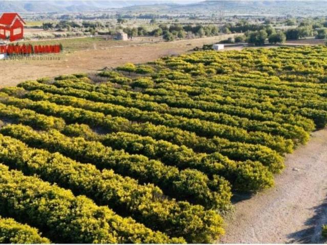 Terreno en venta en Montsià, Catalunya