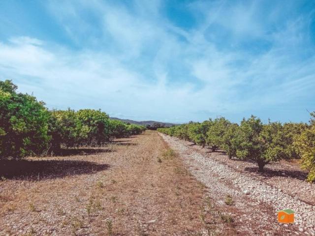 Terreno en venta en Montsià, Catalunya