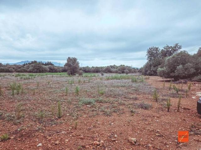 Terreno en venta en Montsià, Catalunya
