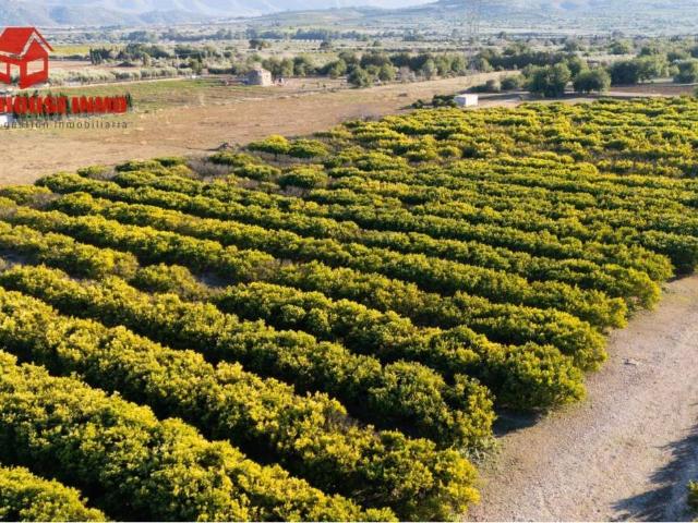 Terreno en venta en Montsià, Catalunya