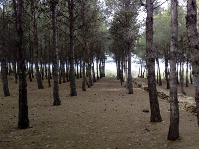 Terreno en venta en Montsià, Catalunya