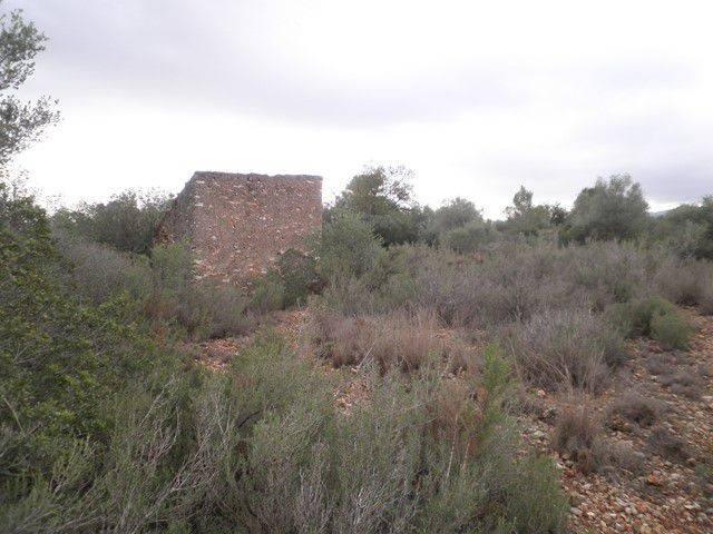 Terreno en venta en Montsià, Catalunya
