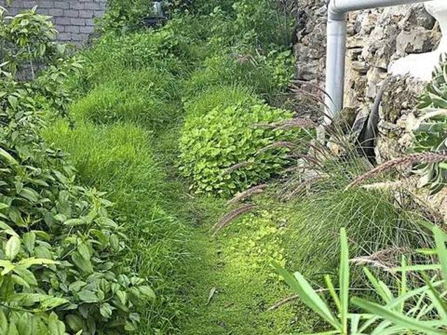 Terreno en venta en Santa Brígida, Canarias