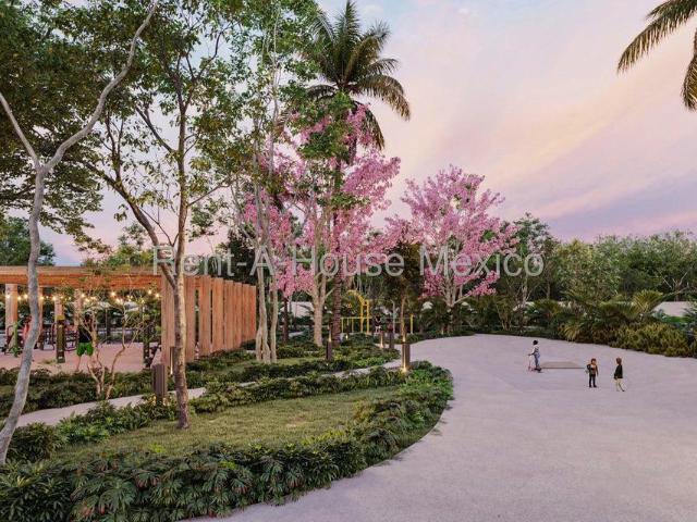 Terreno en renta en Dzidzantún, Yucatán