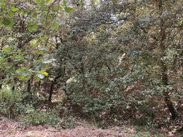 Terreno en venta en Baix Llobregat, Catalunya