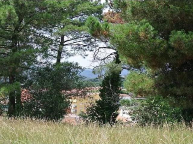 Terreno en venta en la Selva, Catalunya