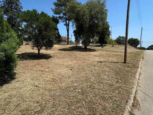 Terreno en venta en la Selva, Catalunya
