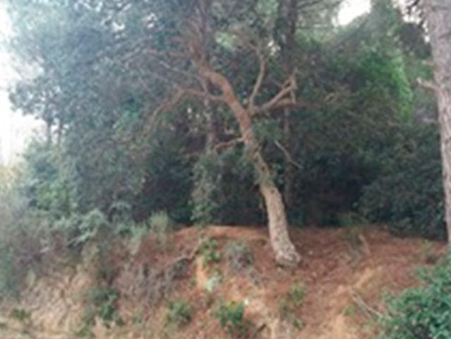 Terreno en venta en Gironès, Catalunya