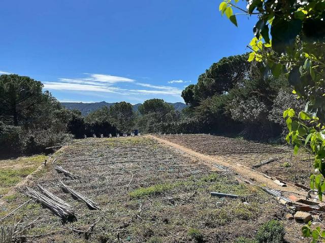 Terreno en venta en Bell-lloc II, Santa Cristina d'Aro