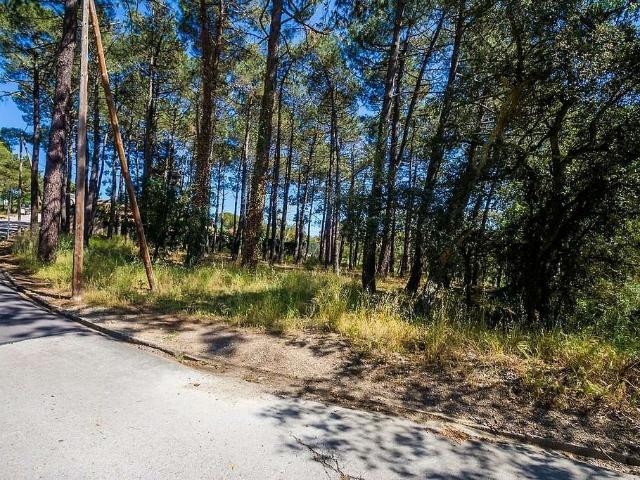 Terreno en venta en Santa Cristina d'Aro, Girona