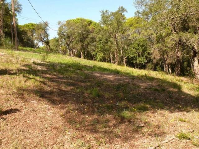 Terreno en venta en Santa Cristina d'Aro, Girona