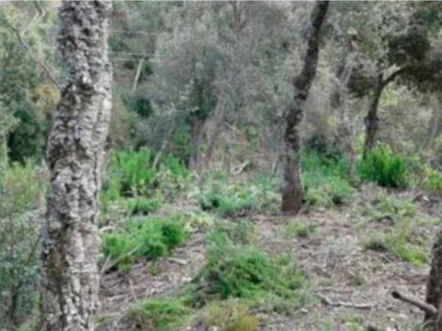Terreno en venta en Baix Empordà, Catalunya